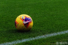 英雄资料-原则瑞达利欧pdf