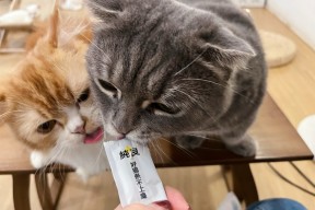 英雄联盟-??P	貓l	沯滀zo椼^?xV脄葪??,笟?厚?(z賾we噦zos)