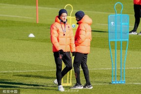 英雄联盟-转会期斯图加特备战法国杯，完成体检细节曝光，管理层满意，数据趋势出现新变化的简单介绍